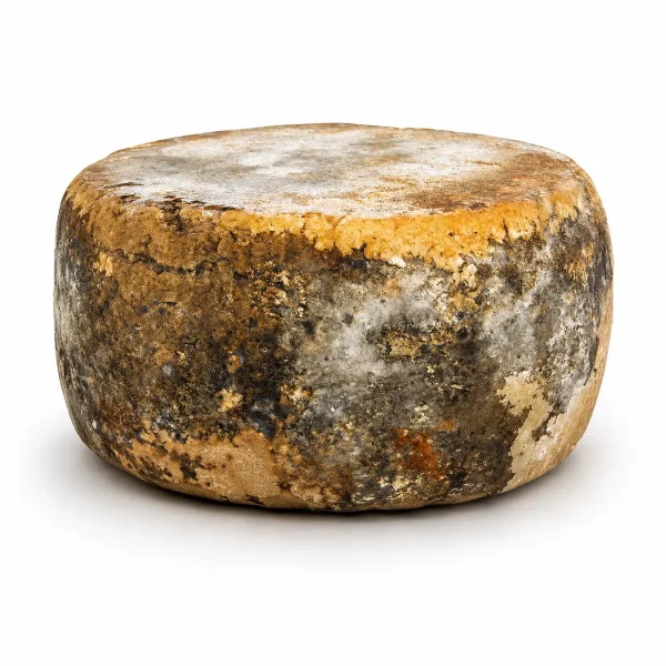 Formaggio di fossa artigianale forma intera, pecorino stagionato in fossa dal sapore intenso