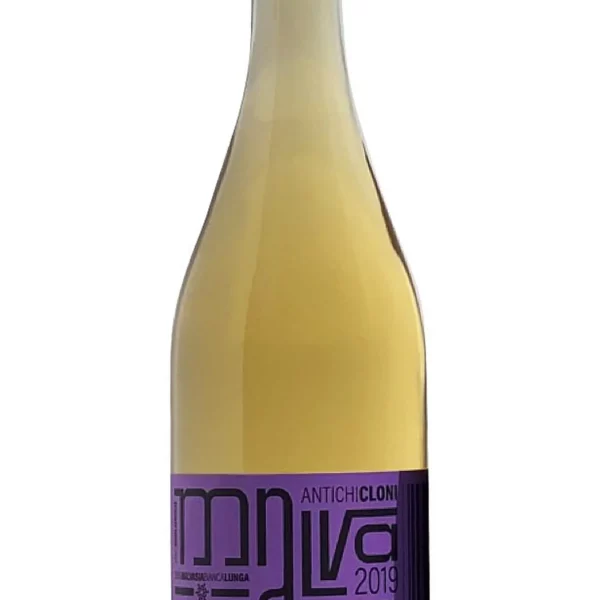 MALVASIA BIOLOGICO ANTICHI CLONI CANTINA ZANCHI