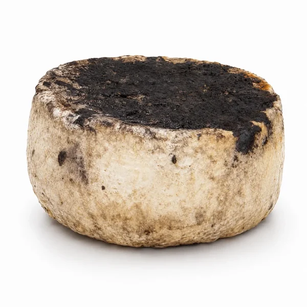 Pecorino alle vinacce artigianale forma intera affinato in vinacce di visciole