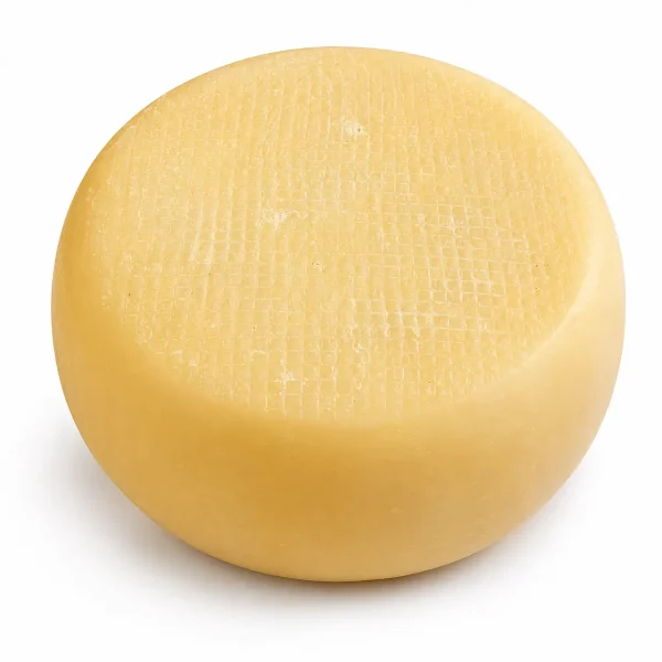 Forma piccola di pecorino umbro fresco artigianale prodotto con latte ovino italiano