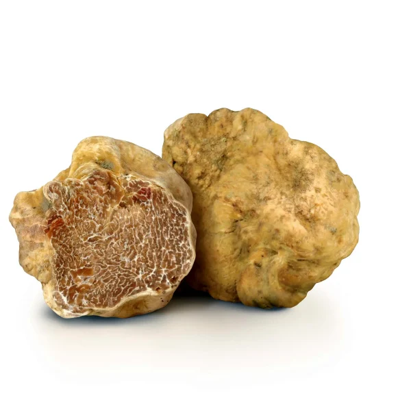 Tartufo Bianco Intero 20g – Selezione Premium GustoUmbro