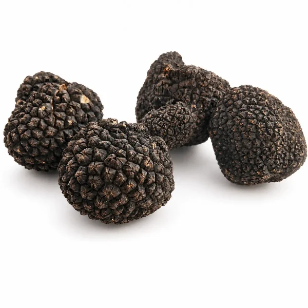 tartufo scorzone fresco