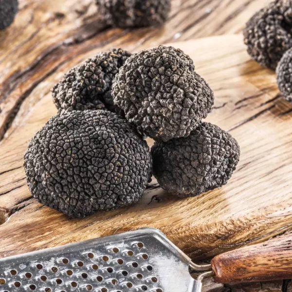 Tartufo Uncinato Fresco appoggiato sopra un tagliere di legno